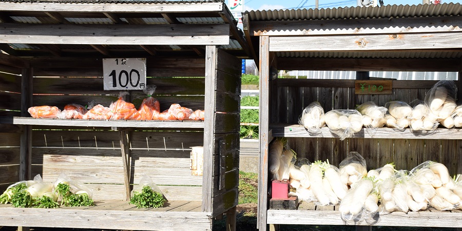 移住者もおすすめ 野菜無人販売画像